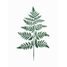 13.5 Inch Plastic Green Leather Fern Leaf Spray (Lot of 12 Picks) SALE ITEM